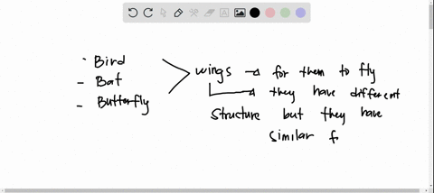 these-three-animal-species-are-capable-of-flight-this-represents-the-following-evolutionary-concept-homology-transitional-forms-artificial-selection-natural-selection-divergent-selection-con-67607