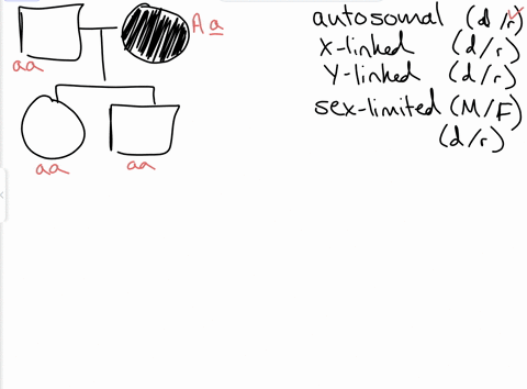 answerallmultiplechoicequestions-the-condition-shown-in-this-family-has-multiple-possible-modes-of-inheritance-x-linked-recessive-autosomal-dominant-and-autosomal-recessive-it-is-always-one-67599