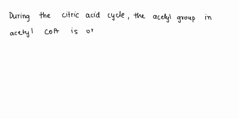 during-the-citric-acid-cycle-what-happens-to-the-acetyl-group-in-acetyl-coa-choose-one-it-is-reduced-to-produce-co2-it-is-oxidized-to-produce-co2-it-is-hydrolyzed-to-produce-co2-it-is-vapori-24507