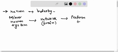 how-can-the-socially-wired-mirror-neuron-system-be-understood-to-better-help-industry-08247