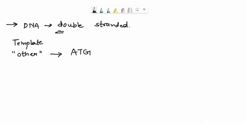 remember-that-dna-is-double-stranded-the-two-strands-are-complementary-to-each-other-the-strand-that-contains-the-gene-wha-we-can-call-the-template-strand-the-other-strand-of-dna-is-present-01305
