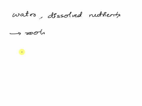 the-vascular-tissue-that-transports-water-and-dissolved-nutrients-from-the-roots-up-through-the-plant-is-called-a-phloem-b-xylem-c-transport-tissue-d-fibrous-tissue-14181