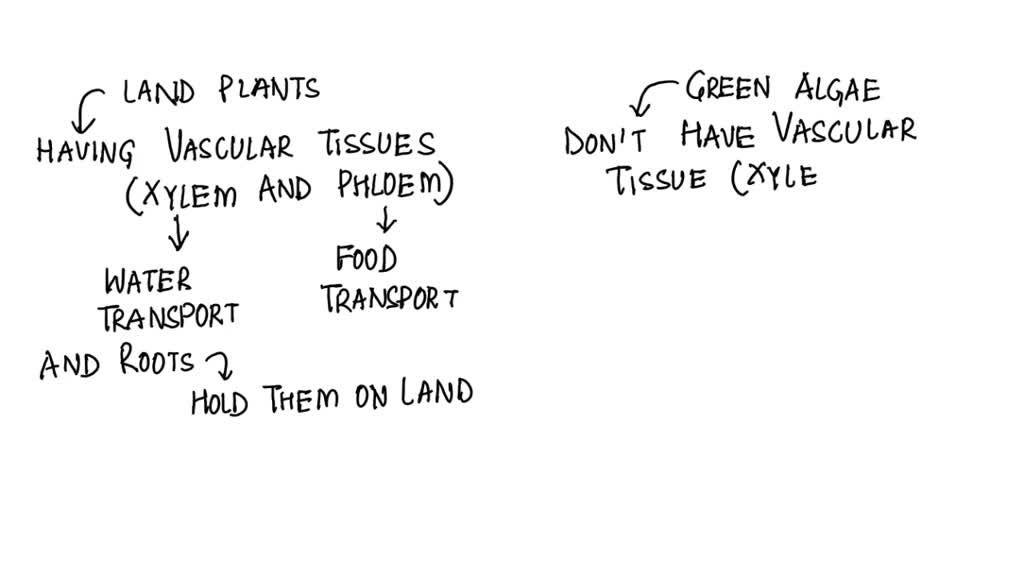 SOLVED A key difference between green algae and landbased plants is that A. landbased plants