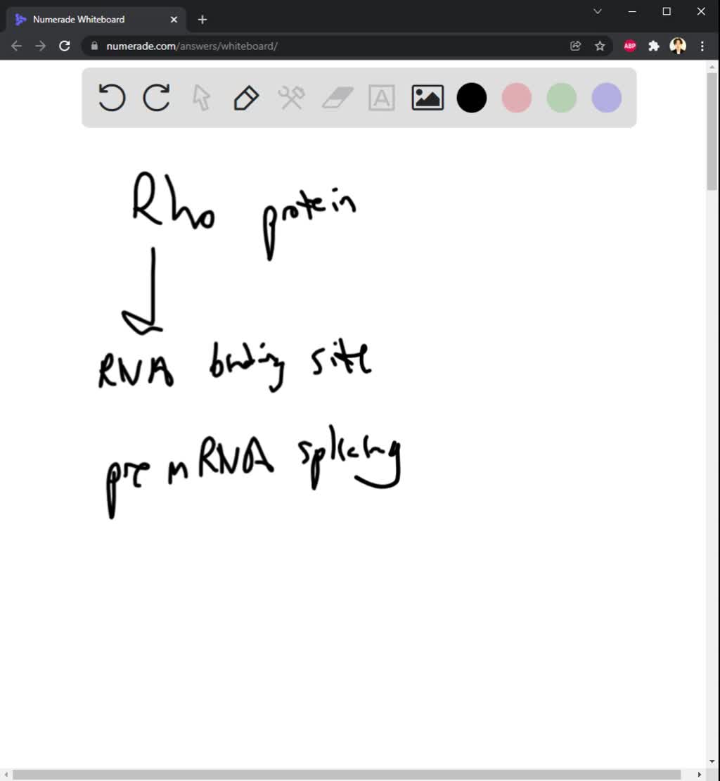 SOLVED Question 2 Which following statements is not true about transcription?a) Initiation of