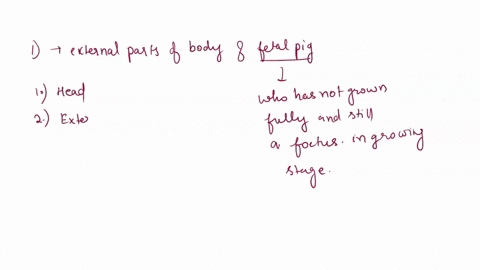name-date_-17-fetal-pig-dissection-study-external-features-parts-of-the-fetal-pig-head-neck-trunk-tail-eyelids-identify-and-label-the-external-body-appendages-umbilical-cord-externa-ear-tong-91163
