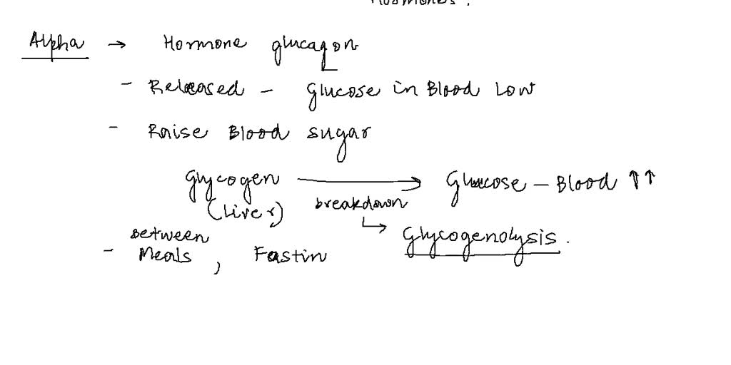SOLVED: What is the difference between alpha and beta cells in the ...