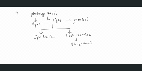the-light-reactions-of-photosynthesis-supply-the-calvin-cycle-with-atp-and-nadph-jubigoljl-true-false-12355