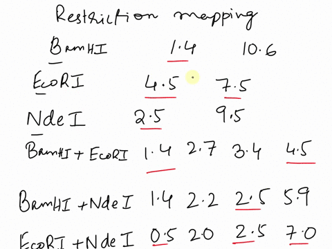 b4-answer-all-parts-the-diagram-below-shows-the-restriction-pattern-of-plasmid-cut-with-the-enzymes-bamhi-ecori-and-ndel-the-digests-are-carried-out-with-each-enzyme-alone-and-then-with-diff-88986