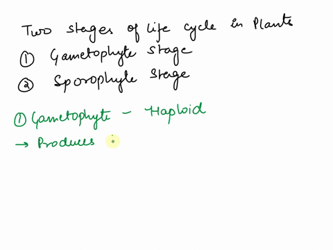 describe-the-two-stage-lifecycle-of-plants-the-gametophyte-stage-and-the-sporophyte-stage-61537