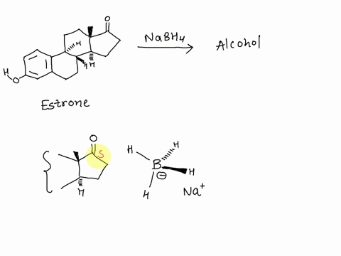 write-the-mechanism-for-the-reduction-reaction-of-estrone-and-sodium-borohydride-explain-the-observed-stereochemistry-of-the-main-product-is-the-reaction-stereoselective-or-stereospecific-46515