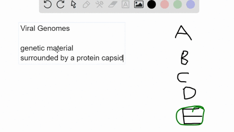 virus-genomes-can-be-a-single-stranded-dna-b-double-stranded-dna-c-double-stranded-rna-d-single-stranded-rna-e-all-of-these-choices-are-correct-56734
