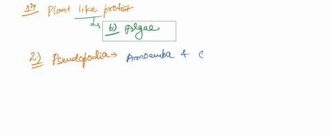 1-plant-like-protists-are-collectively-called-protozoans-algae-diatoms-pseudopodia-3-which-of-the-following-moves-using-pseudopodia-paramecium-euglena-diatoms-ameba-4-which-of-the-following-59038