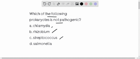 which-of-the-following-prokaryotes-is-not-pathogenic-a-chlamydia-b-rhizobium-c-streptococcus-d-sal-2-47554