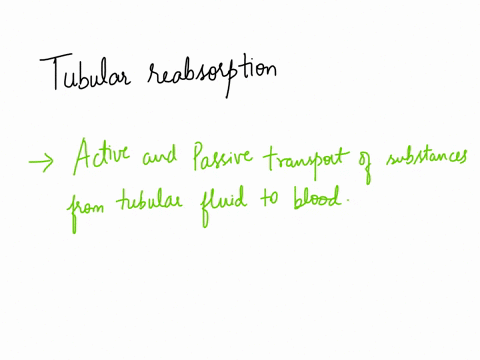 the-process-of-tubular-reabsorption-occurs-in-the-renal-corpuscles-of-the-kidneys-and-involves-an-estimate-of-glomerular-filtration-rate-indicating-passage-of-tubular-fluid-to-circulatory-sy-30942