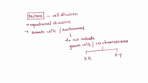 mitosis-occurs-in-all-cells-except-for-which-of-the-following-a-egg-cell-b-brain-cell-c-skin-cell-d-muscle-cell-59936