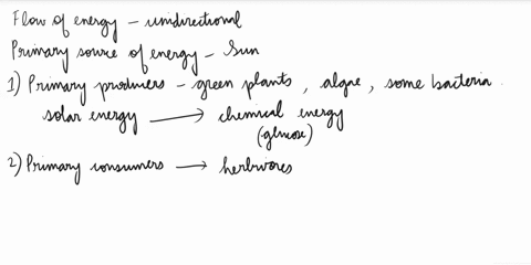 describe-the-flow-of-energy-in-an-ecosystem-where-does-the-energy-initially-come-from-why-isnt-all-of-the-energy-input-to-the-earth-taken-in-by-organisms-describe-the-transfer-of-energy-from-04559