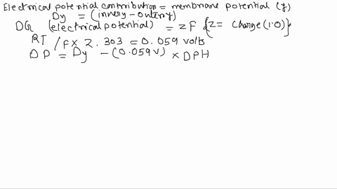 6-peter-mitchell-and-colleagues-determined-that-the-total-proton-motive-force-across-the-inner-mitochondrial-membrane-at-37c-was-2306vcf-which-706-o-tevo-greelectoical-potential-what-was-the-24017