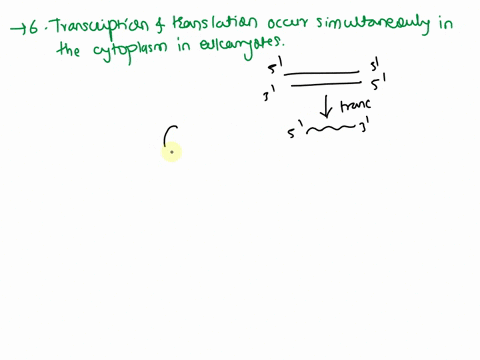 which-of-the-following-is-false-regarding-transcription-select-one-a-transcription-is-the-process-in-which-mrna-transcripts-are-synthesized-from-dna-b-transcription-and-translation-occur-sim-61812