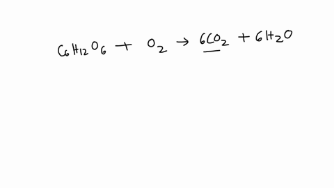c6h12o6-o2-co2-h2o-energy-question-2-how-many-moles-of-co2-will-be-produced-when-5-moles-of-glucose-react-with-oxygen-42353