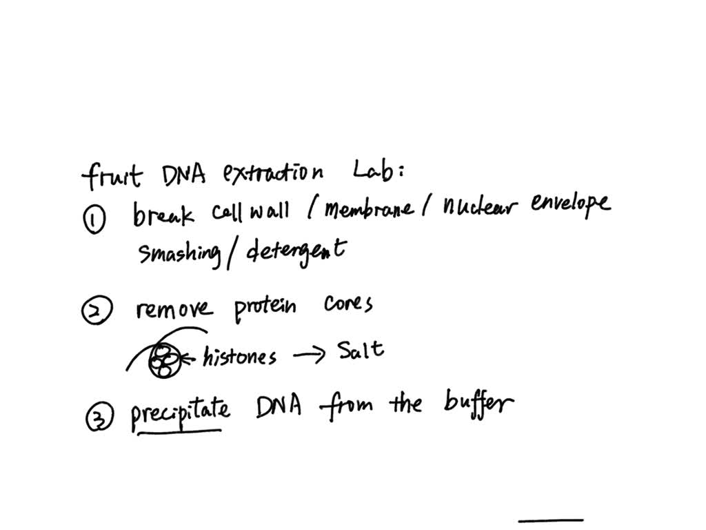 SOLVED Fruit extraction lab why does the total volume of ice cold