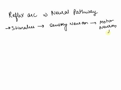 which-of-the-following-are-essential-components-of-a-basic-reflex-arc-select-all-that-apply-at-least-one-synapse-motor-neuron-effector-sensory-neuron-sensory-receptor-63875