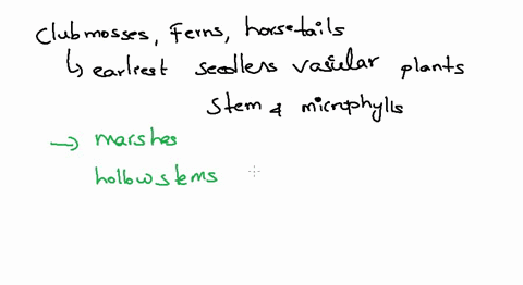 what-are-the-distinguishing-features-of-club-mosses-whisk-ferns-and-horsetails-how-are-these-plants-different-from-ferns-83687