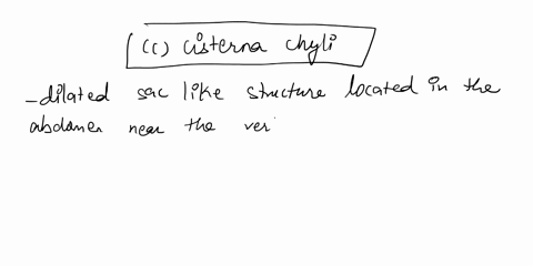 the-sac-that-often-forms-the-initial-portion-of-the-thoracic-duct-is-the-a-lacteal-b-right-lymphatic-78297