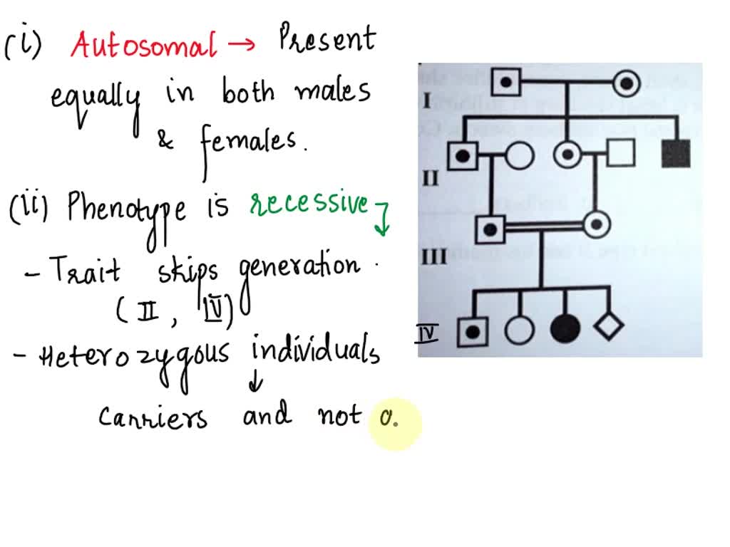 Solved Is The Trait Autosomal Or Sex Linked Is The Phenotype Dominant