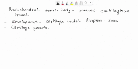 list-the-6-steps-in-endochondral-ossification-and-describe-what-happens-in-each-describe-the-role-0f-perathyroid-hormone-end-calcitonin-in-maintaining-calcium-homeostasis-be-sure-lo-include-57972