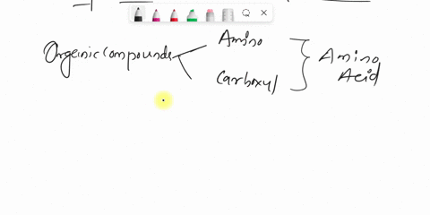 what-is-the-major-difference-between-aspartic-acid-and-phenylalanine-17652