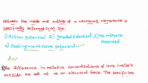 question-22-2-pts-when-the-cell-is-not-sending-signals-the-electrical-difference-between-the-inside-and-outside-of-a-neuronal-membrane-is-specifically-referred-to-as-the-action-potential-gra-56604