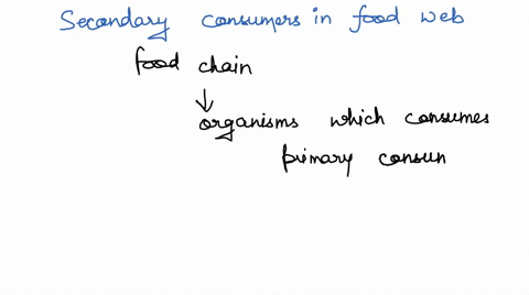 food-web-fisherman-killer-whale-phytoplankton-zooplankton-small-fish-mackeral-humpback-whale-mahi-iarge-shark-decomposers-out-of-these-choices-who-are-the-secondary-consumers-in-the-food-web-72984