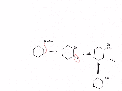 the-following-structure-represents-the-carbocation-intermediate-formed-in-the-acid-catalyzed-additio-01401