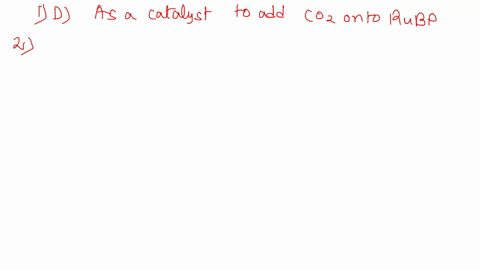 question-6-what-is-the-role-of-rubisco-in-the-calvin-cycle-a-as-a-catalyst-to-convert-g3p-into-glucose-b-the-regeneration-of-rubp-c-the-splitting-of-water-molecules-d-as-a-catalyst-to-add-co-03874