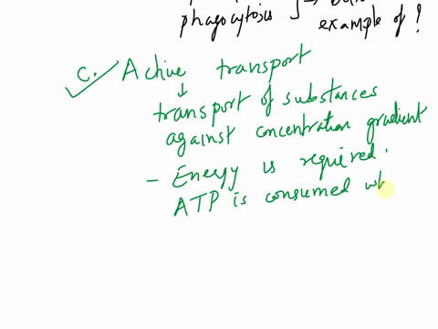 ion-pumps-and-phagocytosis-are-both-examples-of-________-a-endocytosis-b-passive-transport-c-active-transport-d-facilitated-diffusion-82666