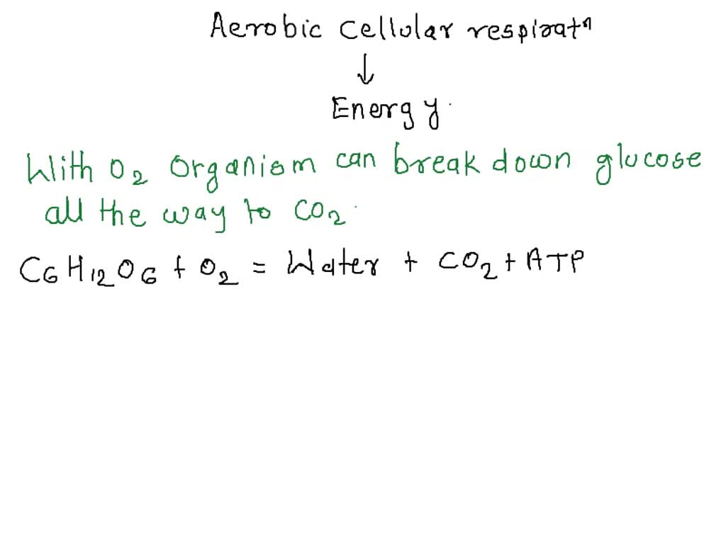 SOLVED: What is the role of oxygen in aerobic cellular respiration ...