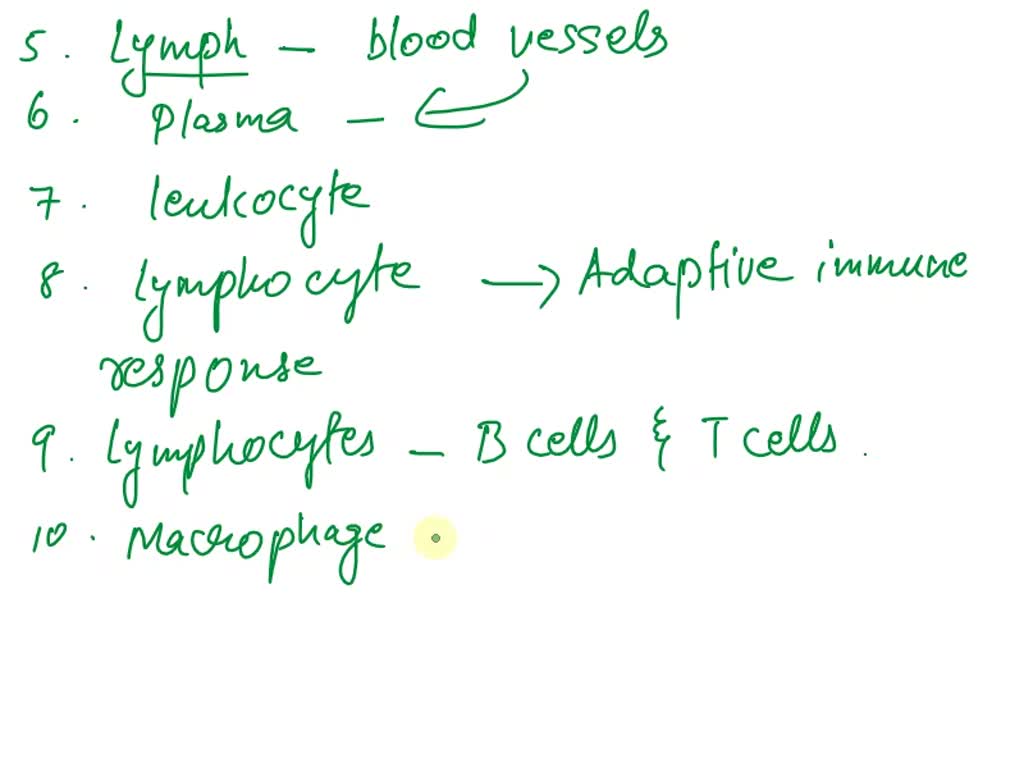 LYMPHATIC SYSTEM What is lymph? What is the function of lymph nodes ...