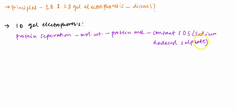 question-6-discuss-the-principles-behind-the-use-of-1-d-and-2-d-gel-electrophoresis-for-protein-separation-20-01722
