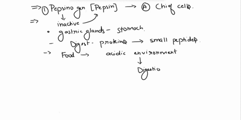 1-match-the-following-gastric-secretions-with-the-cells-in-the-gastric-glands-that-produce-them-1-pepsinogen-pepsin-2-hydrochloric-acid-3-gastrin-a-g-cell-b-parietal-cell-c-chief-cell-2-from-54328