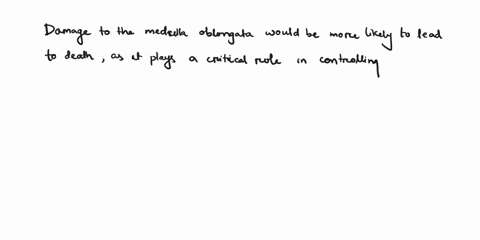 would-damage-to-the-frontal-lobe-or-the-medulla-oblongata-be-more-likely-to-lead-to-death-and-why-describe-the-overall-functions-of-each-of-these-brain-regions-45359
