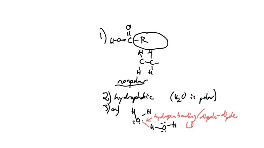 SOLVED Lesson 2.11 Solubility and Laundry Detergents Unit 2 Chemical