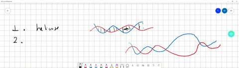 put-the-following-enzymes-in-the-correct-order-in-which-they-participate-in-dna-replication-then-in-your-own-words-state-the-function-of-each-enzyme-dna-polymerase-i-dna-polymerase-iii-helic-96435