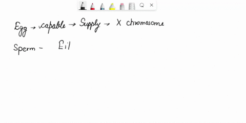 extemal-characteristlcs-possible-ihoy-could-have-bolh-male-and-female-characteristics_-this-dlsorder-is-called-androgen-insensitlvity-syndrome-short-blological-sex-compllcated-sex-determinal-12564