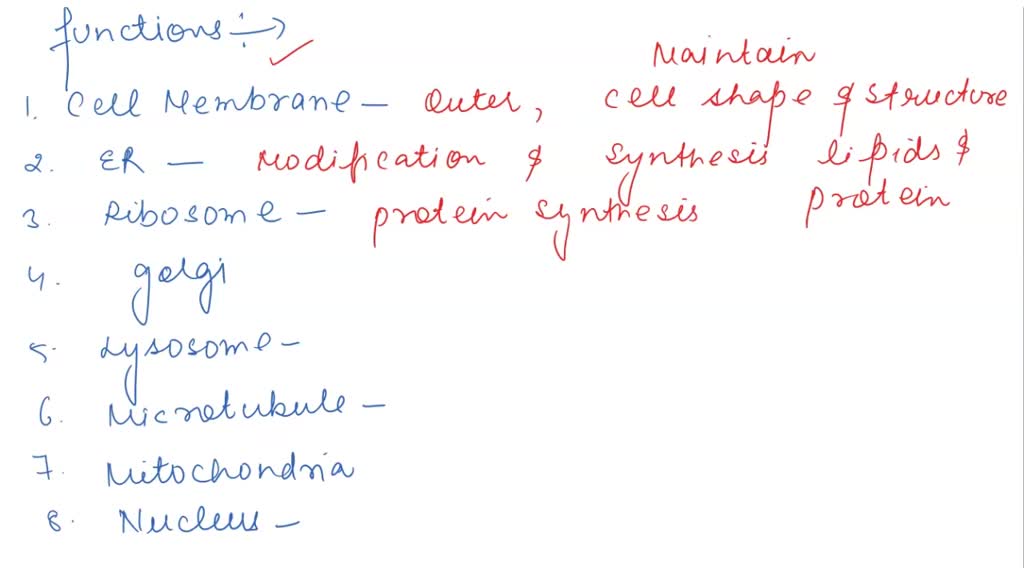 SOLVED write short note on. 1 Golgi apparatus 2 Mitochondria 3