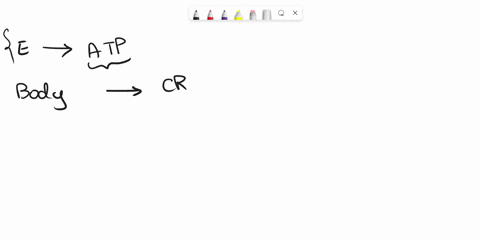 which-organelle-is-the-major-site-of-atp-synthesis-33636