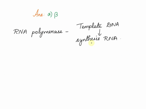 in-bacteria-the-subunit-of-rna-polymerase-is-responsible-for-the-catalytic-activity-linking-nucleotides-together-and-making-rnal-96605