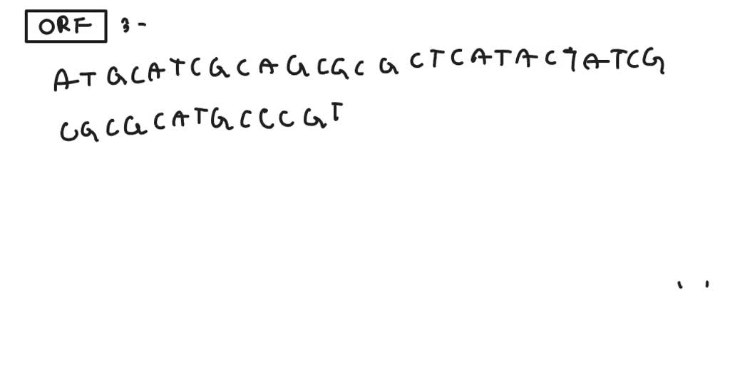 Solved: Take The Following Dna Sequence And Use It To Determine The 