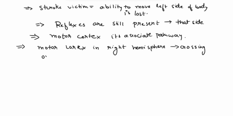 thank-you-in-advance-identify-the-areas-of-the-brain-involved-with-cach-of-these-situations-1after-a-being-in-a-car-accidenta-man-is-very-uncoordinatedis-unable-to-walk-normally-or-maintain-07695