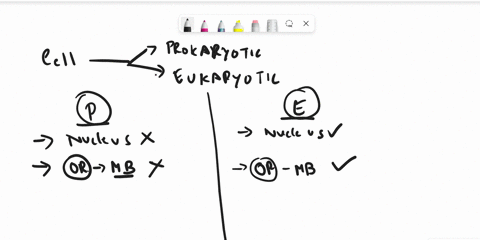 whats-the-difference-between-a-eukaryotic-cell-and-a-prokaryotic-cell-45283