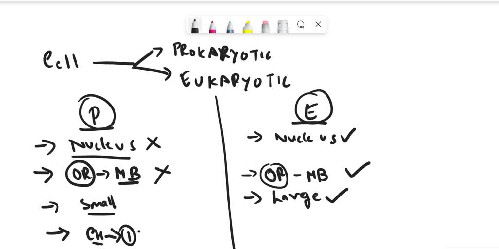 SOLVED What s The Difference Between A Eukaryotic Cell And A solved-what-s-the-difference-between-a-eukaryotic-cell-and-a